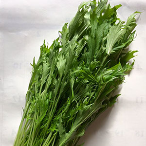 サラダ京水菜の写真です。